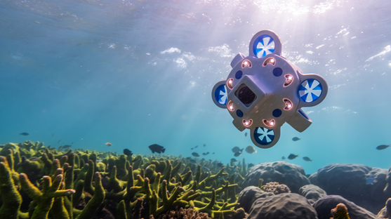 A blue and white Hydrus autonomous underwater vehicle transits underwater over the sea floor.