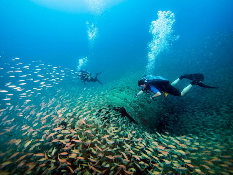 Two scuba divers exploring a shipwreck surrounded by fish