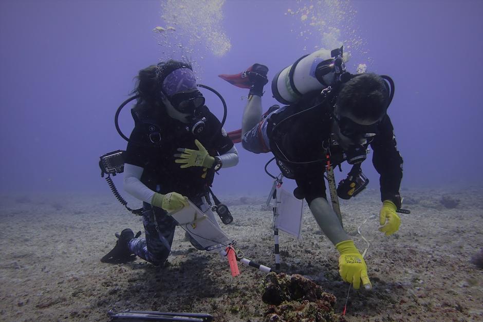 Two divers working on the sea floor